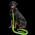 PetIsay Light up Dog Leash for Nigh