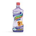 Dental Fresh Advanced Plaque and Tartar 32oz