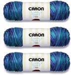 Bulk Buy: Caron Simply Soft Yarn Paints (3-Pack) Oceana C9700P-6