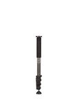 Benro Adventure 3 Series Carbon Fiber Monopod (MAD38C)