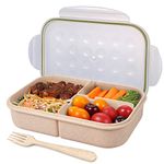 Kids Bento Lunch Boxes