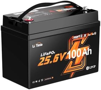 LiTime 2 Pack 24V 100Ah Group 31 Bluetooth LiFePO4 Battery for RVs, Off-Grid - Mini Size, 6000+ Deep Cycles, Low-temp Cutoff Protection