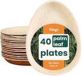 HAAGO Compostable Palm Leaf Plates - Eco-Friendly Disposable Tableware for Picnics, Safe for Freezer & Microwave (40, 25cm / 10" Teardrop)