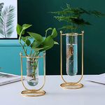 Desktop Glass Planter Hydroponics Vase Glass Propagation Station With Modern Creative Geometric Metal Frame Test Tube Vase For Home Office Decor Table Top (Set Of 2), Blue