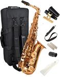 Saxophone Herche Superior Alto Saxo