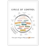 Osdfem Circle Of Control Poster Mental Health Poster What I Can And Cannot Control Poster Calm Down Corner Wall Art School Counselor Therapy Office Decor 16x24in Unframed