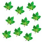12 Pack Assorted Colorful Maple Lea