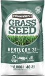Pennington Kentucky 31 Tall Fescue 