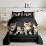 Cat Comforter Girls Kids Pet Cats Pattern Comforter Set Cute Kitten Print Bedding Set for Teens Lovely 3D Animal Duvet Set Ultra Soft Room Decor Twin Size Quilt Set