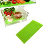 Fridge Liner Mat Kitchen Salad Drawer Fridge Fresh Food Saver Anti Mould Refrigerator Antibacterial Washable Mats Pad for Home,Kitchen, Cabinet & Drawer (Pack of 1)