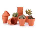 T4U 6.5CM Terracotta Pots Pack of 12 - Small Craft Nursery Succulent Pot Water Permeable Cactus Plant Pottery Planter DIY Home Office Desktop Windowsill Ornament Decor Wedding