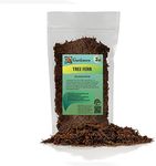 Premium New Zealand Tree Fern by GARDENERA - Orchid and Epiphytal Plants Growing Medium and Reptile Substrate - 2 Quart Bag