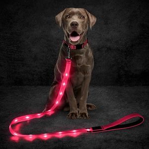 Domagiker Led Dog Leash, 5 Ft Light Up Dog Leash for Night Walking, Glowing Pet Leash USB Rechargeable, Nylon Flashing Dog Leash with Soft Padded Handle (Pink)