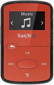 SanDisk 8G