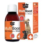 Immune System Boost For Dogs