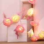 20 LED Rose Flower Fairy Lights, Romantic Rose Fairy String Lights Battery Operated, LED String Lights for Wedding, Mothers Day Decorations, Room, Garden, Patio, Valentine's Day (Pink+White)