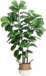 Joyplants Artificial Fiddle Leaf Fi