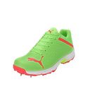 Puma Mens Spike 22.2 Pro Green-Parakeet Green-Fire Orchid Cricket Shoe - 12 UK (10729905)