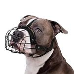BRONZEDOG Pitbull Dog Muzzle Breath