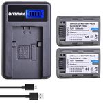 Batmax 2Pcs NP-FP50 NP FP50 Battery + LCD USB Charger for Sony NP-FP30 NP-FP60 NP-FP70 NP-FP71 NP-FP90 Sony DCR-HC30 40 43E 65 85 94E 96 DCR-SR30 40E 50E 60E 70E 80E 100 Handycams