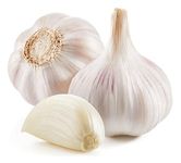 Winter Garlic White Casablanca (2 Bulbs Per Pack)