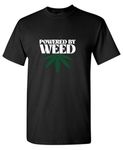 Feelin Good Tees 420 Graphic Tees for Men IVXX Marijuana Weed THC Cannabis CBD Stoners T Shirt, Black20, Large