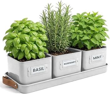 Green Thumbz Herb Pots for Kitchen Windowsill - Set of 3 Warm Stone Herb Planter Indoor with Leather Handled Tray - Ideal for an Indoor Herb Garden, Plants and Flowers - Labels Included