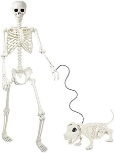 Skeleton H