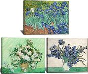 msspart Irises by Vincent Van Gogh 