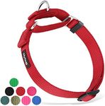 Hyhug Heavy Duty Nylon Anti - Escape Martingale Dog Collar for Large Medium Small Boy and Girl Dogs - Walking Training Daily Use. (Medium, Red)