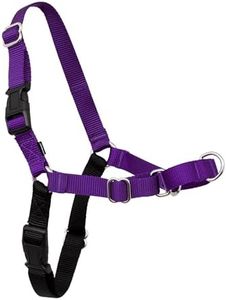 PetSafe Easy Walk No-Pull Dog Harness - Ultimate Harness to Help Stop Pulling - Pull-Free Walks - Take Control & Teach Better Leash Manners - Patented Martingale Loop Design - Purple, Small/Medium