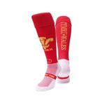 WackySox Wales Knee Length Sports Socks