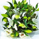 Homeland Florists Flowers Delivery Next Day Prime, White Oriental Lily Bouquet Delivered, Large Fresh Luxury Lilies with Handwritten Gift Card