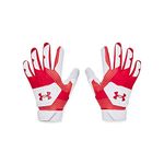 Under Armour Men's Clean Up 21 Batting Gloves Small