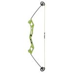 Champion Archery Bows