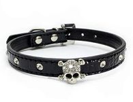 haoyueer Cute Dazzling Sparkling Elegant Fancy Skull Diamond Crystal Rhinestone Leather Small Pet Dog Cat Collar Puppy … (M, Black)