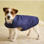 Joules Navy Blue Quilted Dog Coat, Small