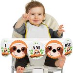 Let's Hang - Sloth 1rst Birthday Highchair Decor - I Am One - First Birthday High Chair Banner