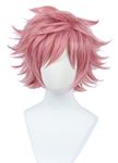 Linfairy Anime Cosplay Wig Short Halloween Costume Hero Wig (pink) not style