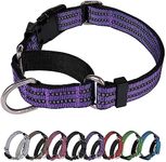 JOYEEIIOO Martingale Dog Collar, Ad