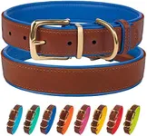 CollarDirect Leather Dog Collar Brass Buckle Soft Padded Puppy Small Medium Large Red Pink Blue Green Purple Yellow (Neck Fit 19"-21", Navy Blue)