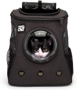 Fat Cat Ba