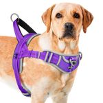 ADVENTUREMORE Dog Harness Medium Sized Dog No Pull, Dog Halter Harness Adjustable Reflective Dog Vest Escape Proof Dog Harness with Easy Control Front Clip Handle for Training Walking M Purple