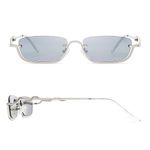 Appassal Y2K Snake Sunglasses for Women Men Narrow Rectangular 90s Glasses Sunnies AP3649,Silver/Silver Mirror