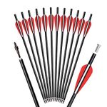 ELONG OUTDOOR Crossbow Bolts Arrows Fiberglass 14" Hunting Archery Target Arrow with Replaced 100 Grain Arrowheads Flat Nocks (Pack of 12)