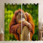 Feelyou Kids Gorilla Curtains for B
