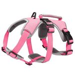 Petsmart Dog Harness