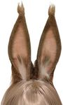 ATekatac Rabbit Ears Handmade Animal Ears Halloween Cosplay Bunny Ears Flower Headband (Tan1)