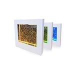 Playlearn 22cm Sensory Lights Glitter Filled Square for Kids Sensory Room - LED Color Changing Mood Light - Portable USB Operated Rechargable Night Desktop Bedside Table Light Home Decor