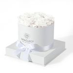 Graclect Preserved Roses in a Box for Delivery Prime,Forever Flowers,Immortal Roses Birthday Gifts for Her for Mom/Wife/Grandma - White